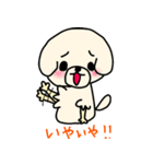 ひつじカットのビションくん（個別スタンプ：17）