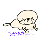 ひつじカットのビションくん（個別スタンプ：29）