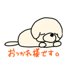 ひつじカットのビションくん（個別スタンプ：35）