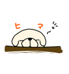 ひつじカットのビションくん（個別スタンプ：36）