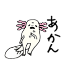 ウーパールーパーのパークス（個別スタンプ：11）