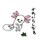 ウーパールーパーのパークス（個別スタンプ：28）