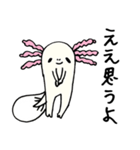 ウーパールーパーのパークス（個別スタンプ：36）