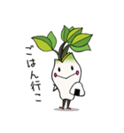 山菜の女王 こしあぶらちゃん（個別スタンプ：40）