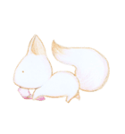 White White fox（個別スタンプ：13）