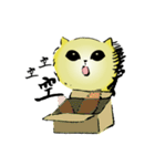 Moe Moe Kitty（個別スタンプ：19）