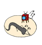 毛根のコン（個別スタンプ：27）