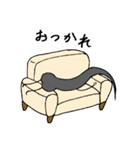 毛根のコン（個別スタンプ：28）