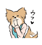 わんにゃん商事株式会社（個別スタンプ：31）