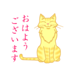 金色虎猫キマリ（個別スタンプ：1）