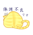 金色虎猫キマリ（個別スタンプ：3）