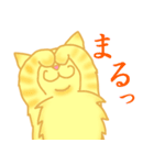 金色虎猫キマリ（個別スタンプ：4）