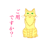 金色虎猫キマリ（個別スタンプ：17）