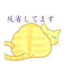 金色虎猫キマリ（個別スタンプ：24）