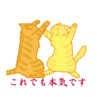 金色虎猫キマリ（個別スタンプ：31）