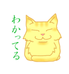 金色虎猫キマリ（個別スタンプ：32）