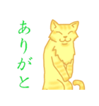 金色虎猫キマリ（個別スタンプ：38）