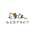 【日本語〜中国語（繁体字）】翻訳する猫（個別スタンプ：5）