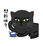 Animals love to chat1（個別スタンプ：4）