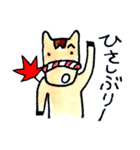 中馬街道のお馬さん（個別スタンプ：35）