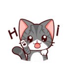 I LOVE PIPI CAT（個別スタンプ：4）