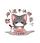 I LOVE PIPI CAT（個別スタンプ：6）