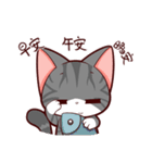 I LOVE PIPI CAT（個別スタンプ：14）
