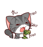 I LOVE PIPI CAT（個別スタンプ：23）