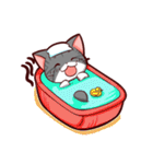 I LOVE PIPI CAT（個別スタンプ：37）