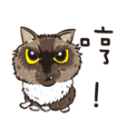 0.5mm cat（個別スタンプ：10）