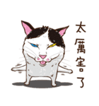 0.5mm cat（個別スタンプ：13）