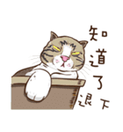 0.5mm cat（個別スタンプ：22）