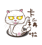 0.5mm cat（個別スタンプ：30）