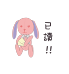 Co Bi rabbit ＆ Co Xuan bear（個別スタンプ：16）