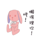 Co Bi rabbit ＆ Co Xuan bear（個別スタンプ：20）