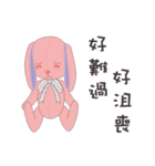 Co Bi rabbit ＆ Co Xuan bear（個別スタンプ：27）