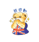 Classic Teddy（個別スタンプ：8）