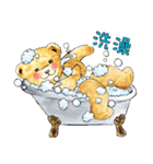 Classic Teddy（個別スタンプ：24）