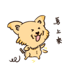 Banana Kiki（個別スタンプ：31）