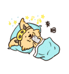 Banana Kiki（個別スタンプ：40）