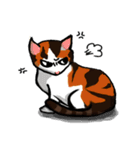 MeowX4（個別スタンプ：1）