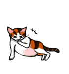 MeowX4（個別スタンプ：2）