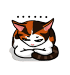 MeowX4（個別スタンプ：3）