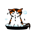 MeowX4（個別スタンプ：6）