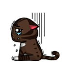 MeowX4（個別スタンプ：19）