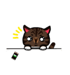 MeowX4（個別スタンプ：21）