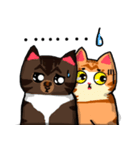 MeowX4（個別スタンプ：35）
