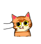 MeowX4（個別スタンプ：37）