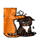 MeowX4（個別スタンプ：38）
