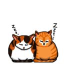 MeowX4（個別スタンプ：39）